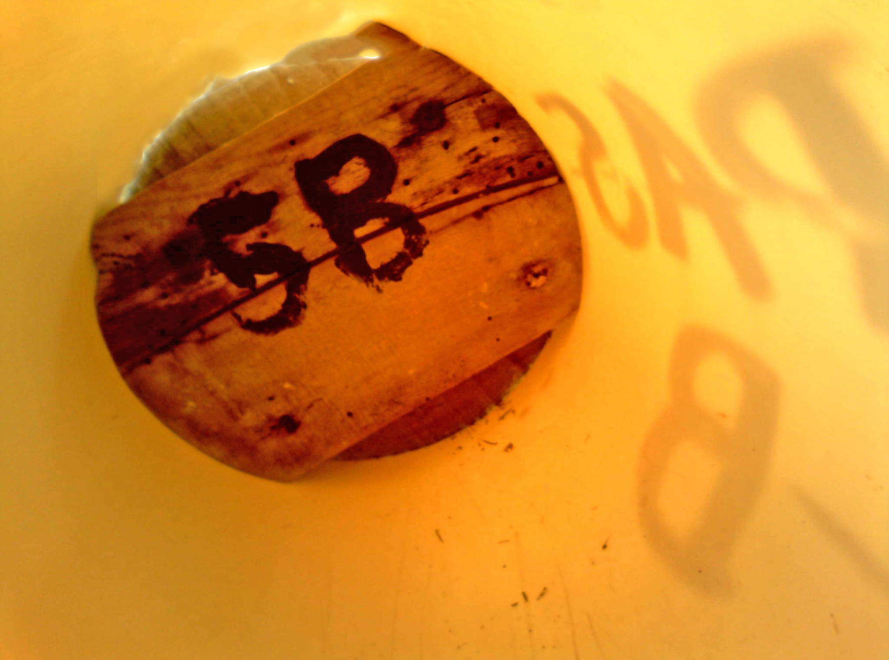 OPAS 5B